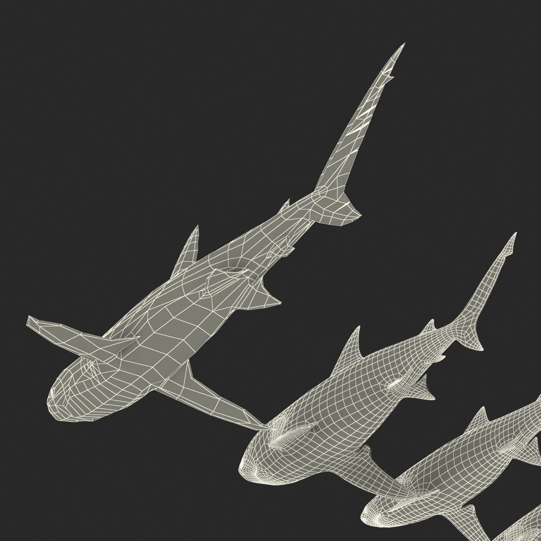 sharks 5 3ds https://p.turbosquid.com/ts-thumb/16/6omlE2/HhX6MvaN/3dmodelsofsharkscollection099/jpg/1452931566/1920x1080/fit_q87/b3d579dfb857b70d207e0ac33f03eddbe9421afd/3dmodelsofsharkscollection099.jpg