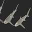 Collection Requins 5