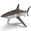 Collection Requins 5