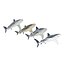 Collection Requins 5