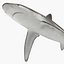 Collection Requins 5