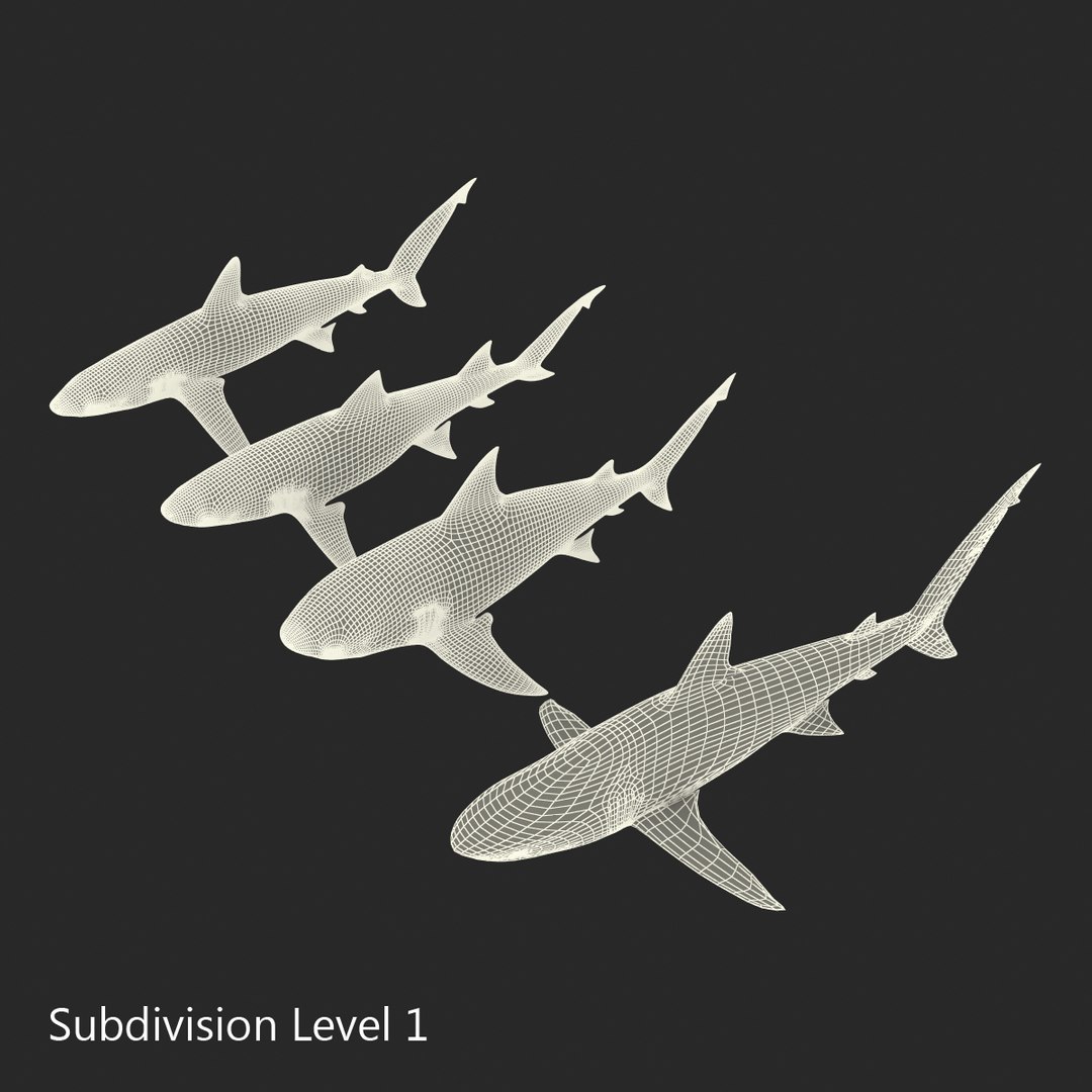 sharks 5 3ds https://p.turbosquid.com/ts-thumb/16/6omlE2/OudImIOv/3dmodelsofsharkscollection072/jpg/1452931563/1920x1080/fit_q87/e733afe98cbd90f7bcddbc58a63fca2b6069e349/3dmodelsofsharkscollection072.jpg