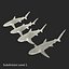 Collection Requins 5