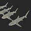 Collection Requins 5
