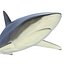 Collection Requins 5