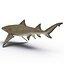Collection Requins 5