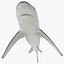 Collection Requins 5