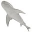 Collection Requins 5
