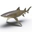 Collection Requins 5