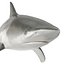 Collection Requins 5