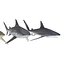 Collection Requins 5
