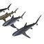 Collection Requins 5