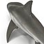 Collection Requins 5