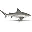 Collection Requins 5