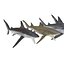 Collection Requins 5