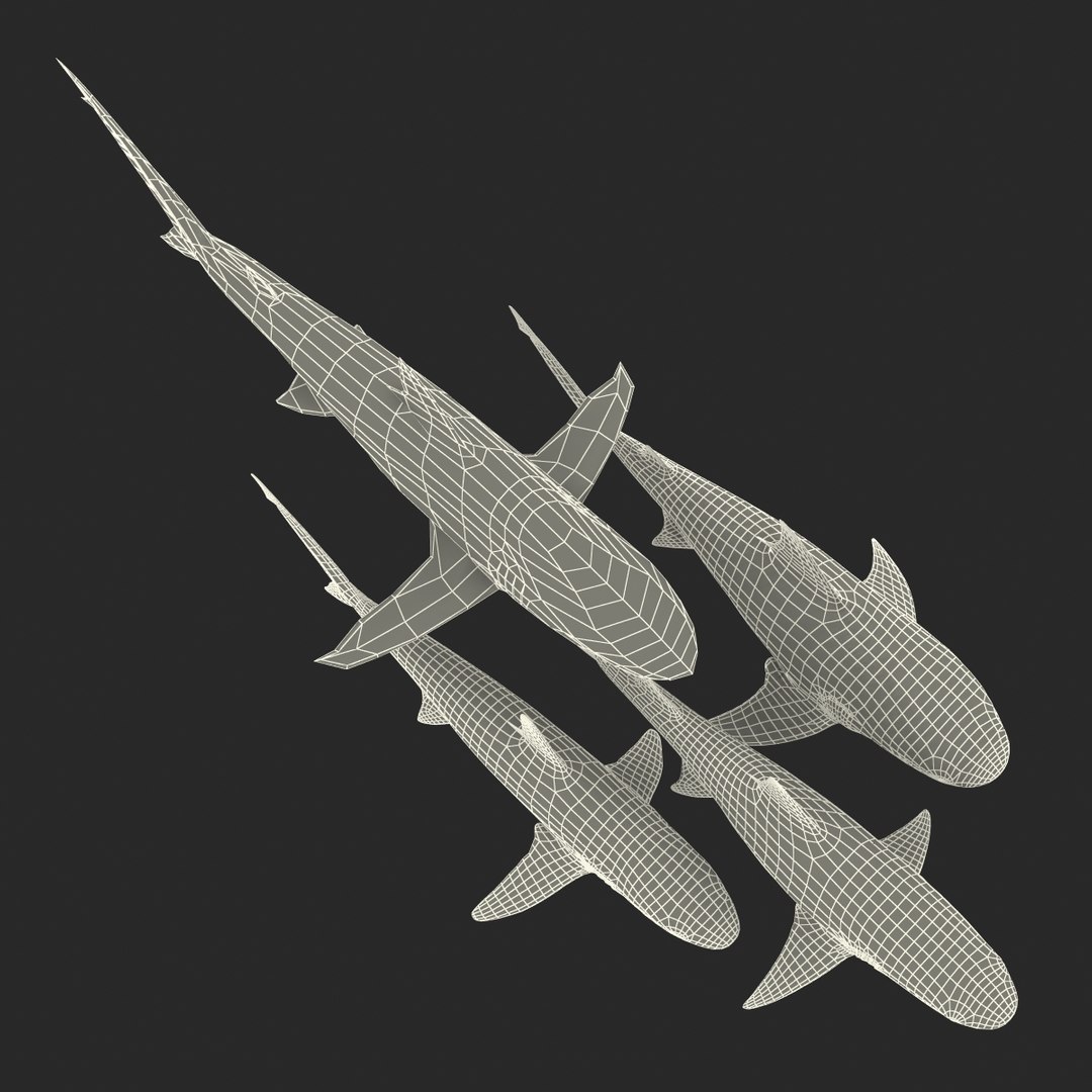 sharks 5 3ds https://p.turbosquid.com/ts-thumb/16/6omlE2/X5MO3nPi/3dmodelsofsharkscollection091/jpg/1452931565/1920x1080/fit_q87/a20a76f4a998bd7723099fab296dde84efdd5bbc/3dmodelsofsharkscollection091.jpg
