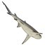 Collection Requins 5