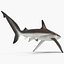 Collection Requins 5