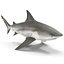 Collection Requins 5