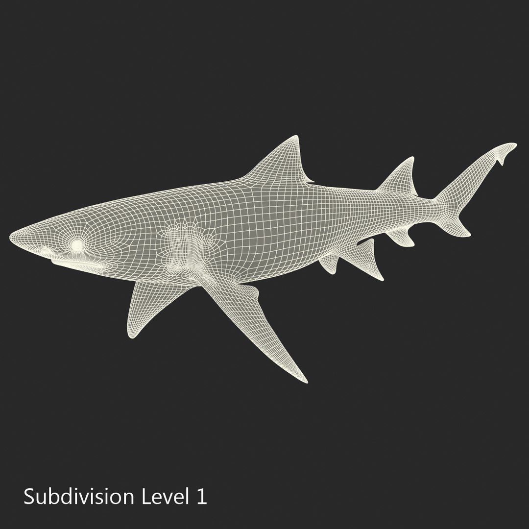 sharks 5 3ds https://p.turbosquid.com/ts-thumb/16/6omlE2/ZG1H6DTq/3dmodelsofsharkscollection080/jpg/1452931564/1920x1080/fit_q87/d5803d02b288a66892750273e33a52f8a7d9ddbc/3dmodelsofsharkscollection080.jpg