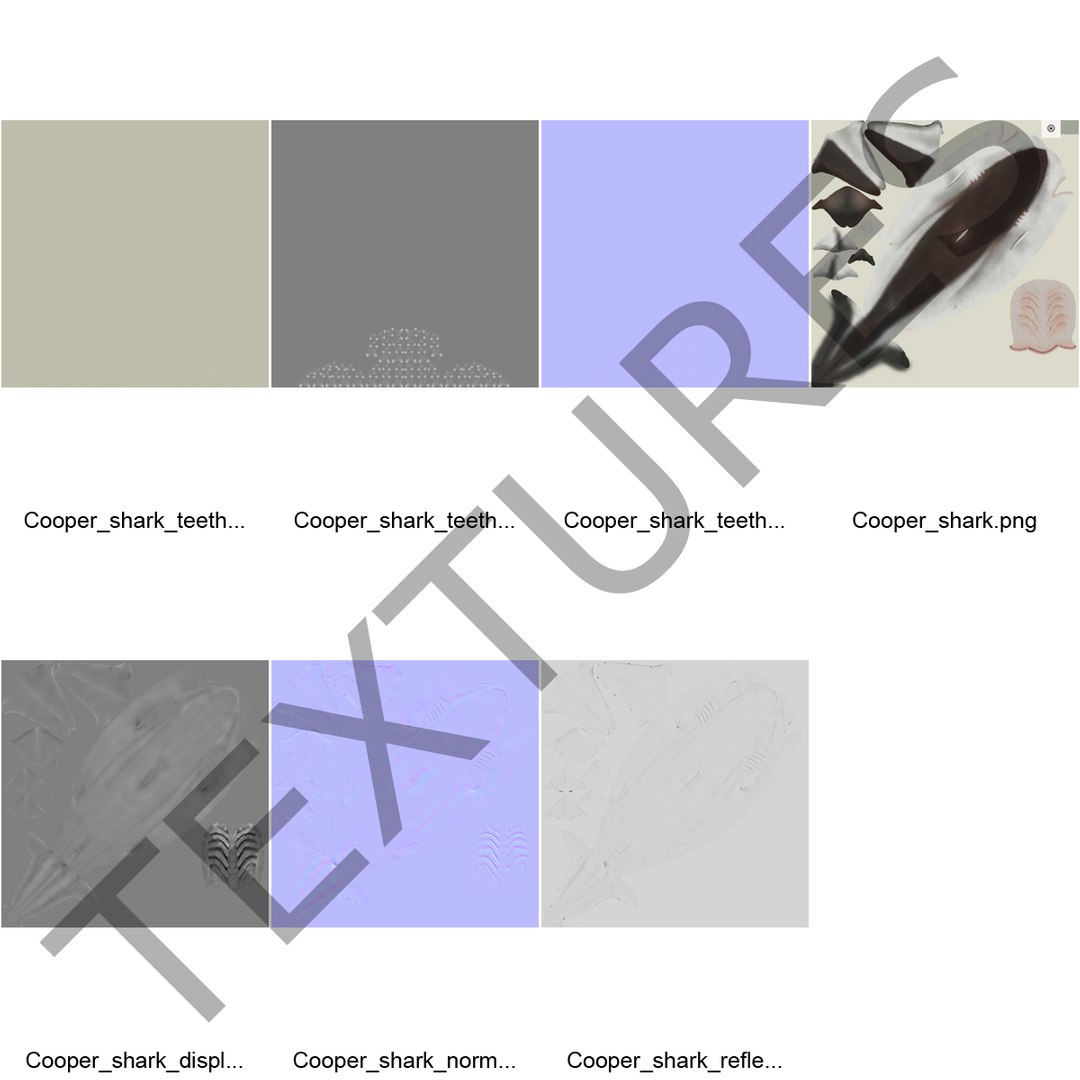 sharks 5 3ds https://p.turbosquid.com/ts-thumb/16/6omlE2/bdd2DZuv/3dmodelsofsharkscollection086/jpg/1452931565/1920x1080/fit_q87/0259dd06df7d5740628bc2be801d243455558b0f/3dmodelsofsharkscollection086.jpg