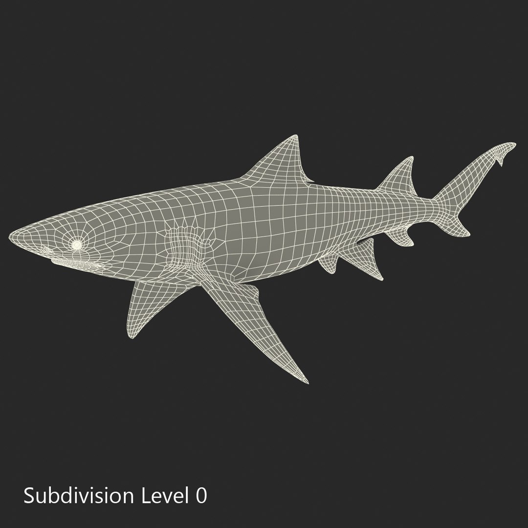sharks 5 3ds https://p.turbosquid.com/ts-thumb/16/6omlE2/bhG85hWS/3dmodelsofsharkscollection079/jpg/1452931564/1920x1080/fit_q87/09432604977e5faa0d2402e5018a19597ffa99ee/3dmodelsofsharkscollection079.jpg