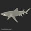 Collection Requins 5