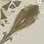 Collection Requins 5