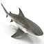 Collection Requins 5