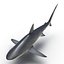 Collection Requins 5
