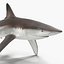 Collection Requins 5