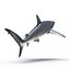 Collection Requins 5