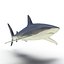 Collection Requins 5