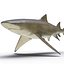 Collection Requins 5