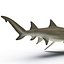 Collection Requins 5