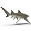 Collection Requins 5