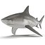 Collection Requins 5