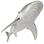 Collection Requins 5