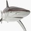 Collection Requins 5