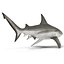 Collection Requins 5
