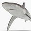 Collection Requins 5