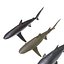 Collection Requins 5