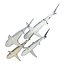 Collection Requins 5