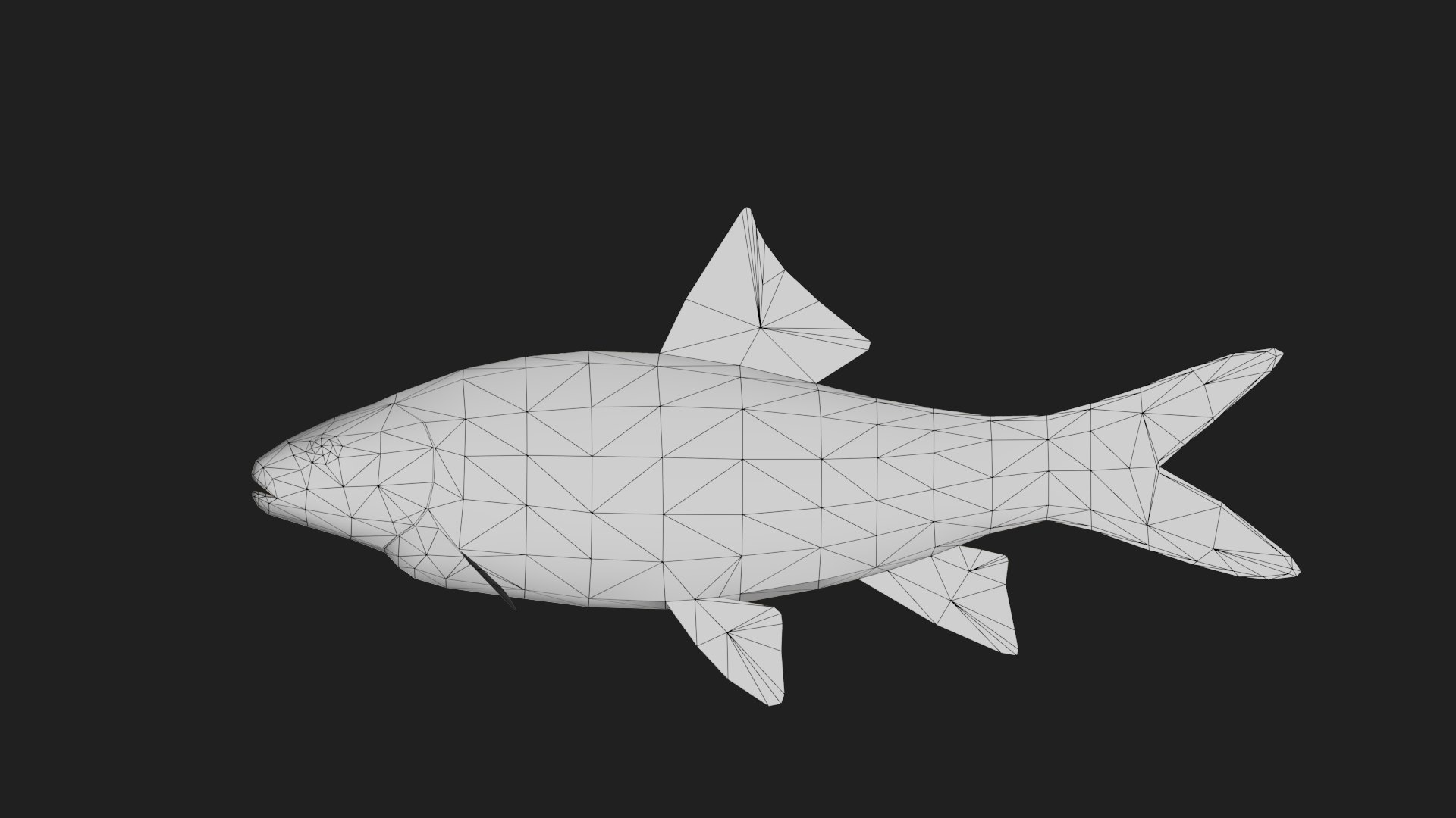 3D Carp Model - TurboSquid 2125428