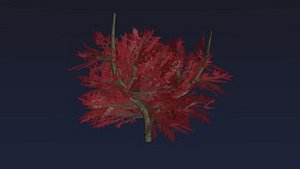 Red Amur Maple Tree (low poly)
