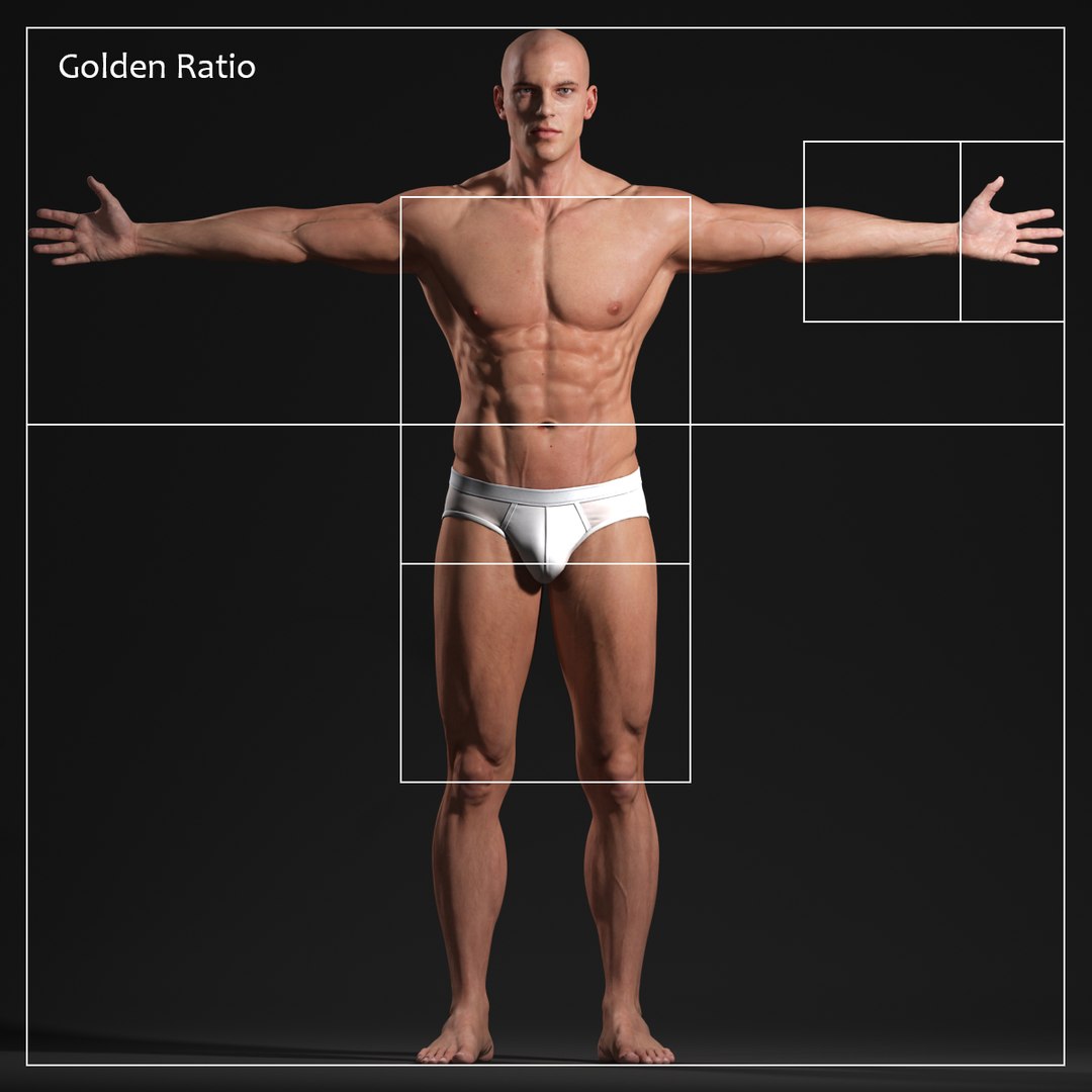 realistic male body - max https://p.turbosquid.com/ts-thumb/16/JBPfFR/1urx0FlU/male_body_golden_ratio_02/jpg/1431497402/1920x1080/fit_q87/5974b6264c7c57ee49c4bfad3e92ab1483d2af40/male_body_golden_ratio_02.jpg