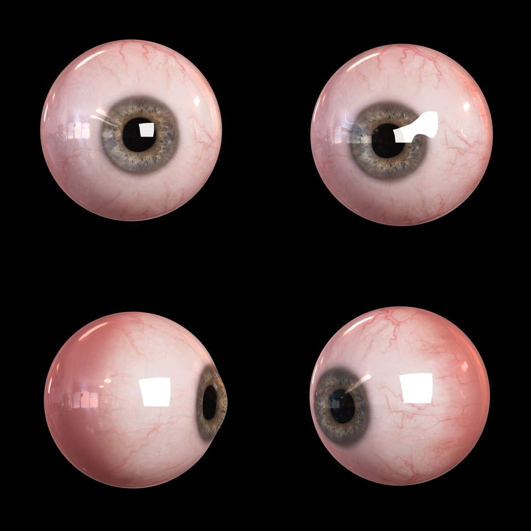 realistic male body - max https://p.turbosquid.com/ts-thumb/16/JBPfFR/JnVeQ4KM/male_body_eye_01/jpg/1398780981/1920x1080/fit_q87/b3bd4445a326c4400c320736bf1507696d3d4215/male_body_eye_01.jpg