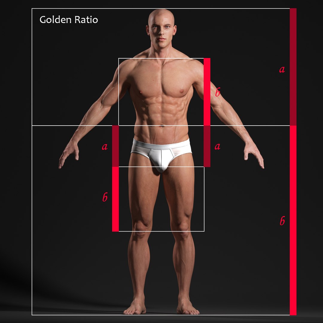 realistic male body - max https://p.turbosquid.com/ts-thumb/16/JBPfFR/YSjjNz7K/male_body_golden_ratio_01/jpg/1431497402/1920x1080/fit_q87/88ee06e69b9768eb3b72546d9bd757728f1dc52e/male_body_golden_ratio_01.jpg