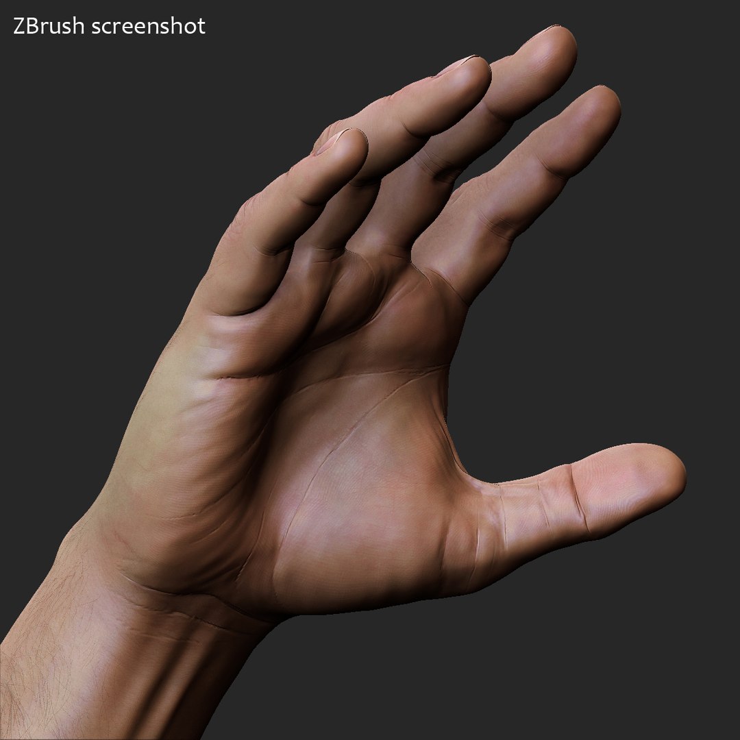 realistic male body - max https://p.turbosquid.com/ts-thumb/16/JBPfFR/e9anynLG/male_body_zbrush_08/jpg/1398967575/1920x1080/fit_q87/279ffe1de241f2969a9bb0a543749c9caff81428/male_body_zbrush_08.jpg