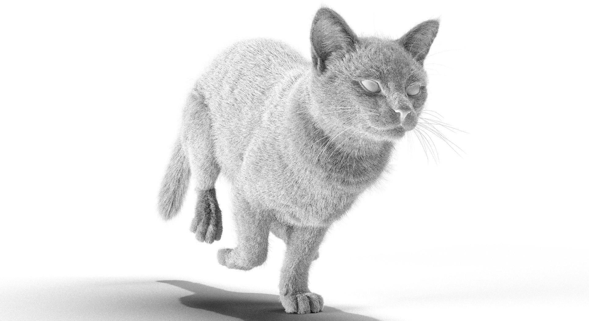 Rigged Civet Cat Gray Cat With 4k Textures And Animation Model ...